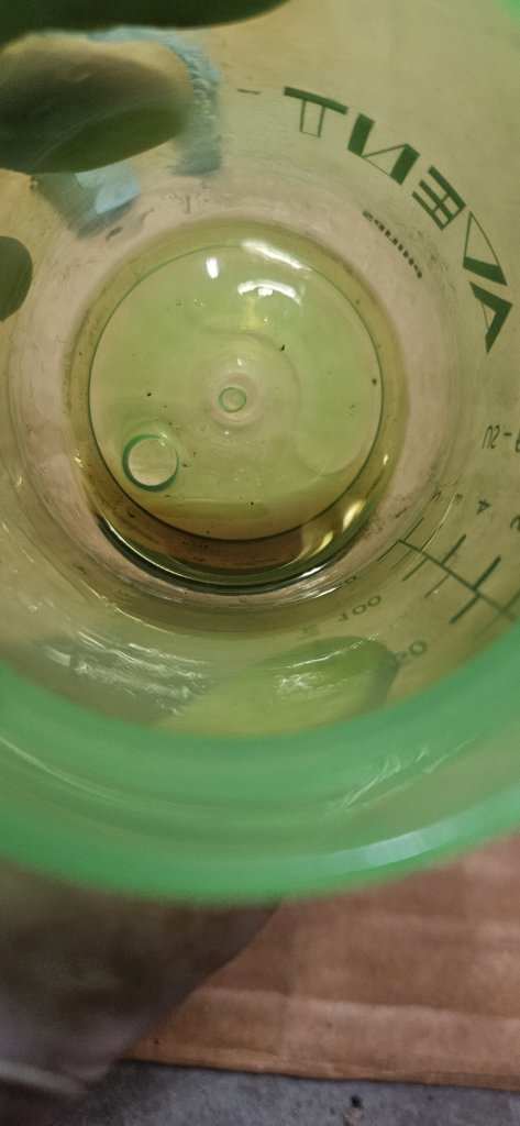 20240720_121957.jpg