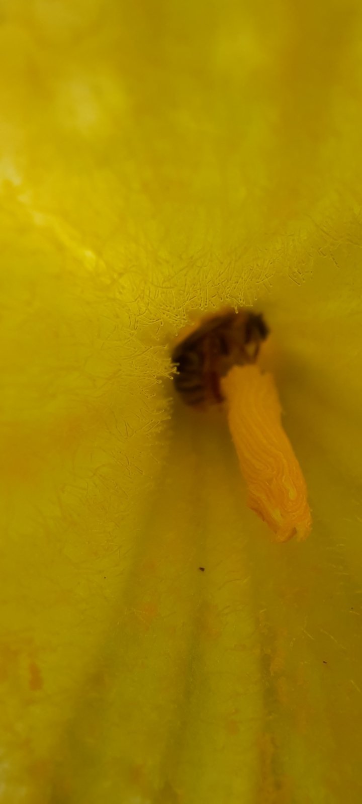 20240722_110442.jpg