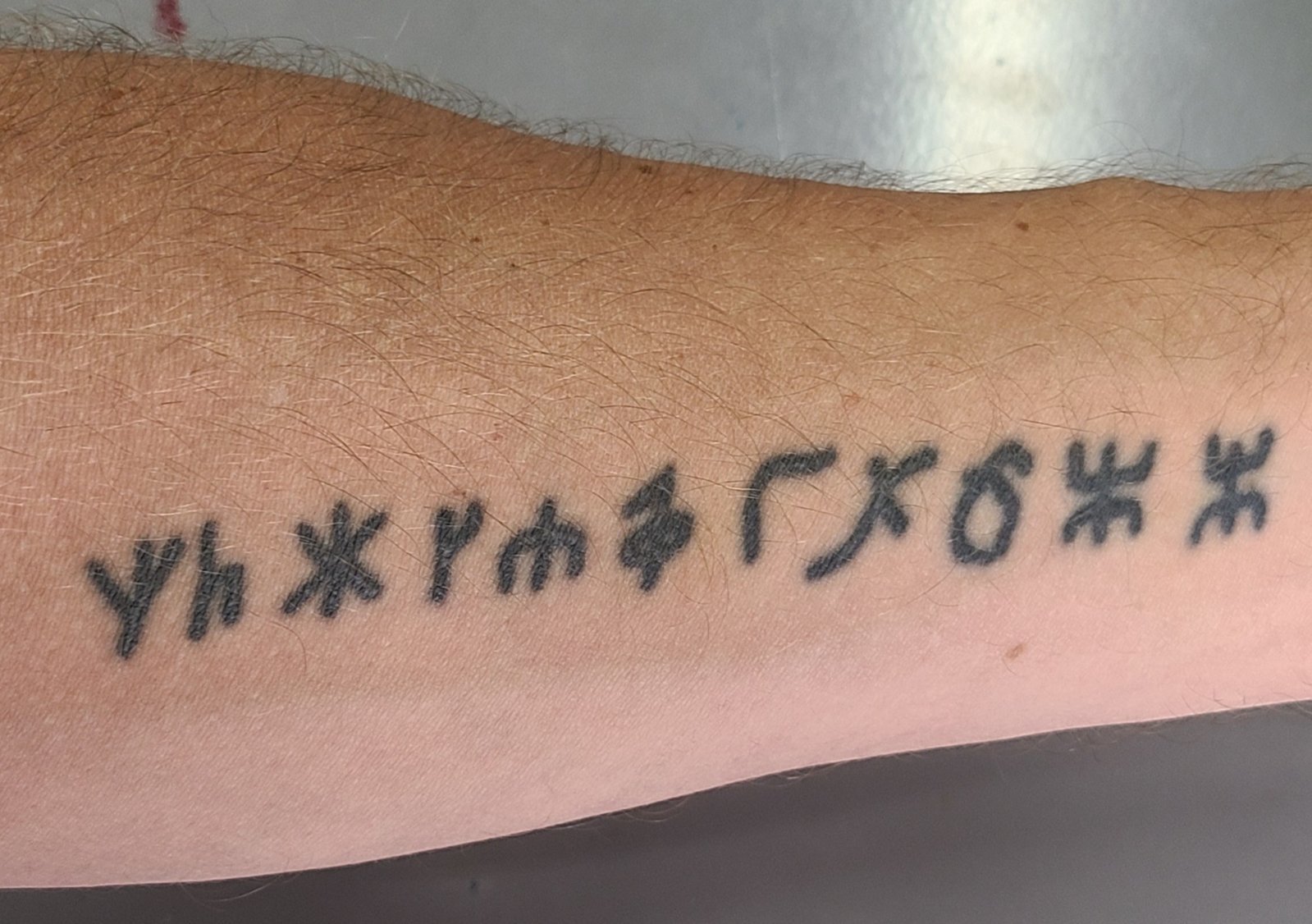 20240801_060544.jpg