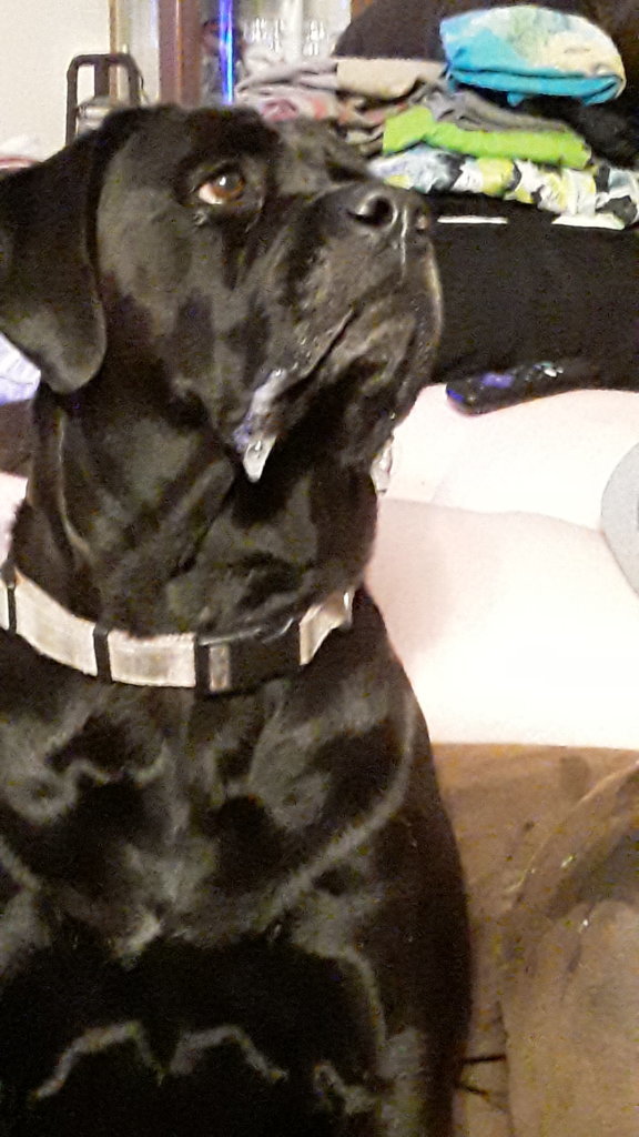 20240803_212613.jpg