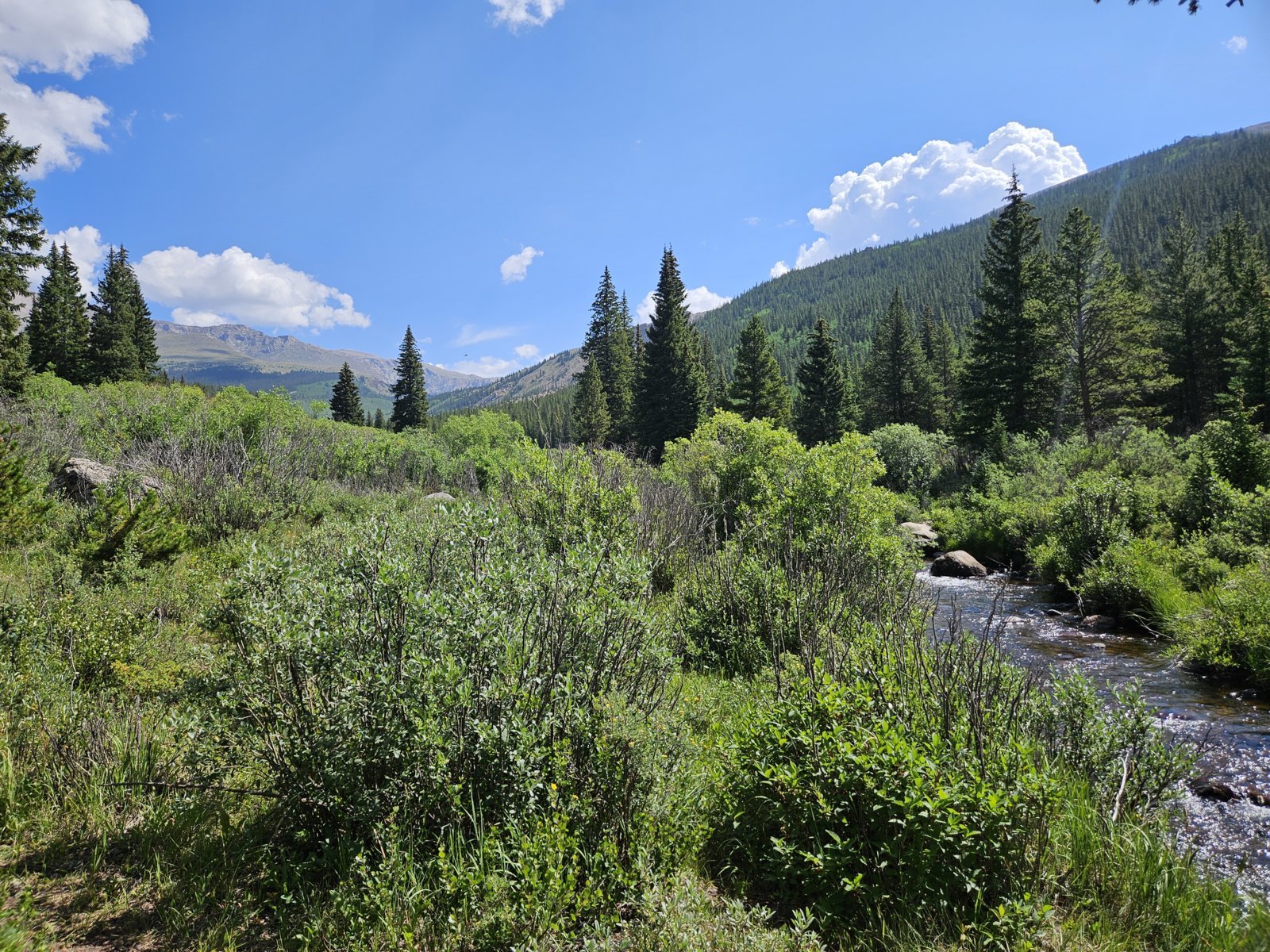 20240804_104933.jpg