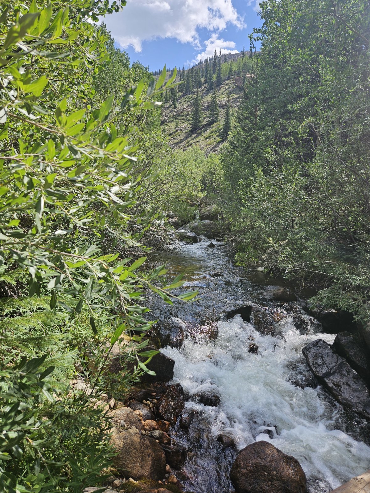 20240804_111744.jpg