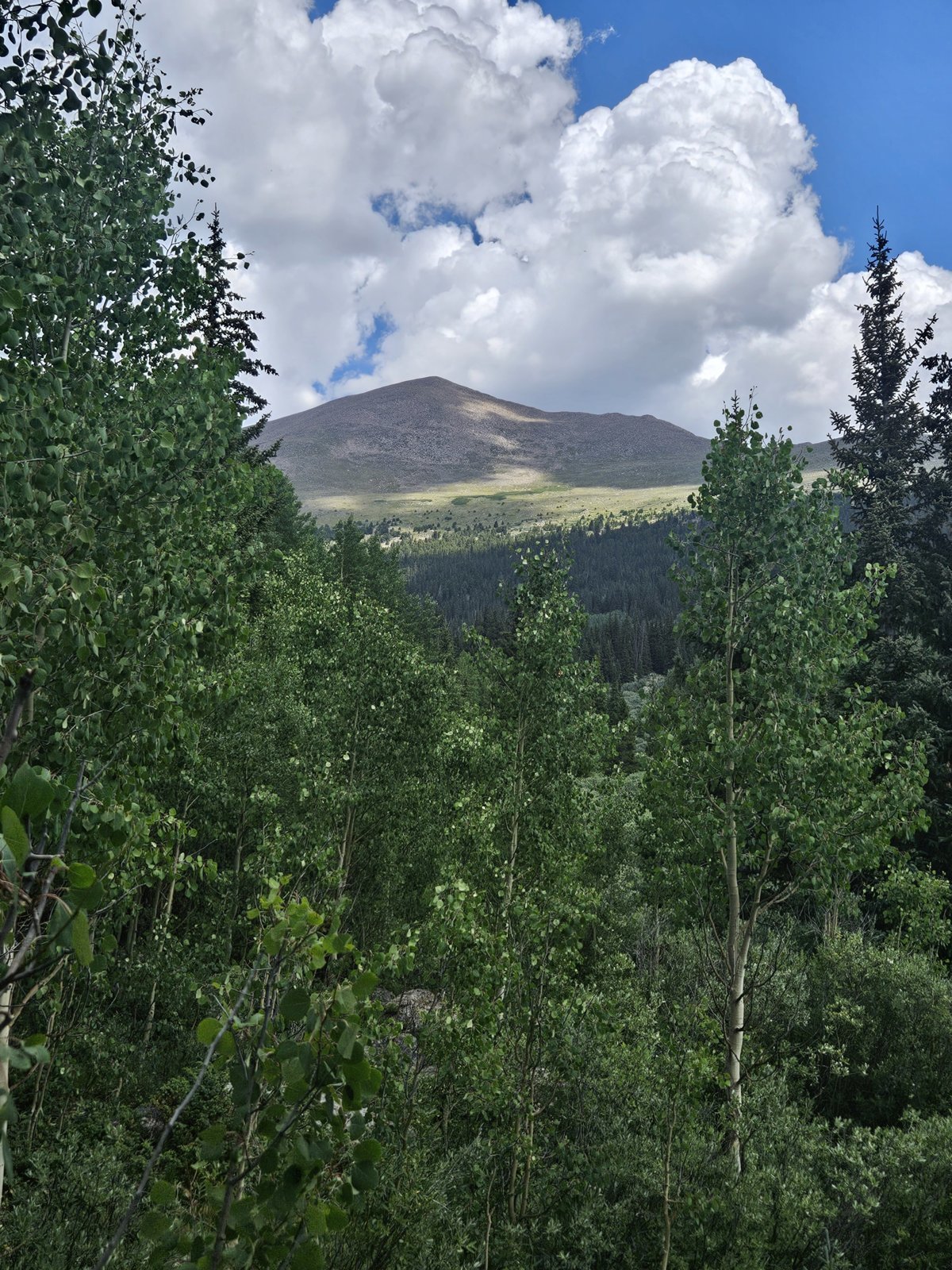 20240804_114051.jpg