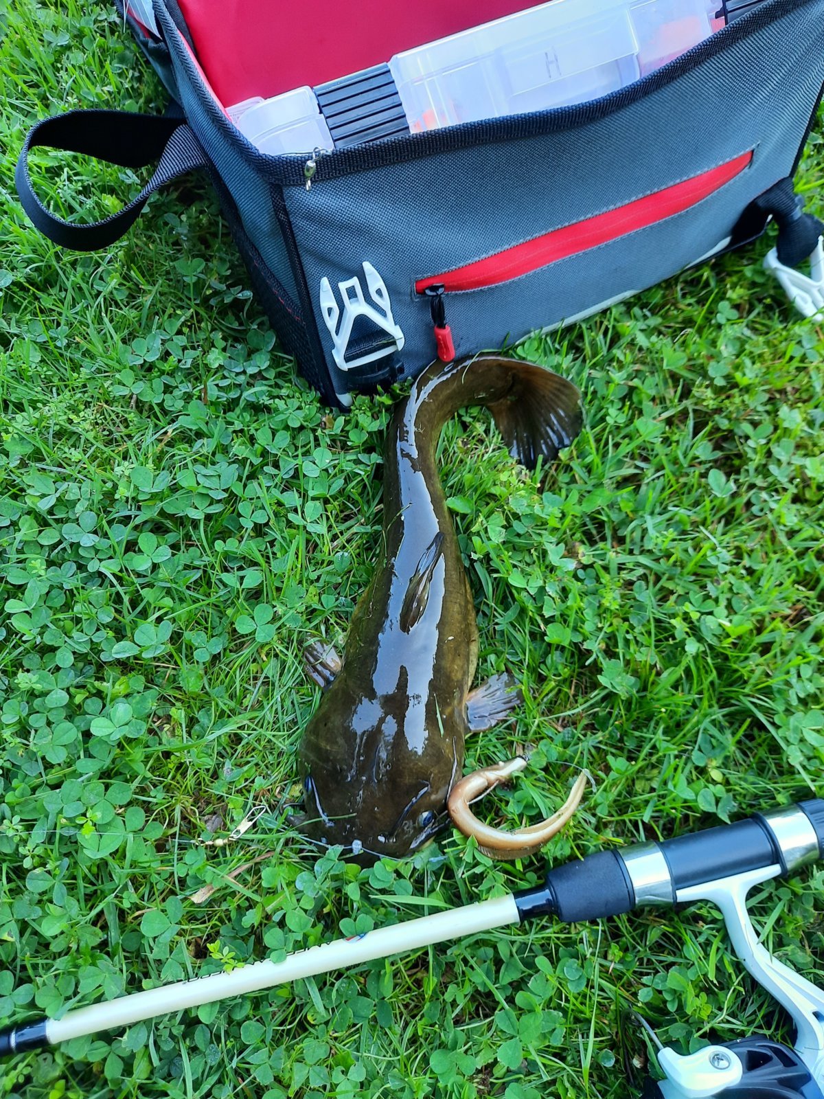 20240805_074340.jpg