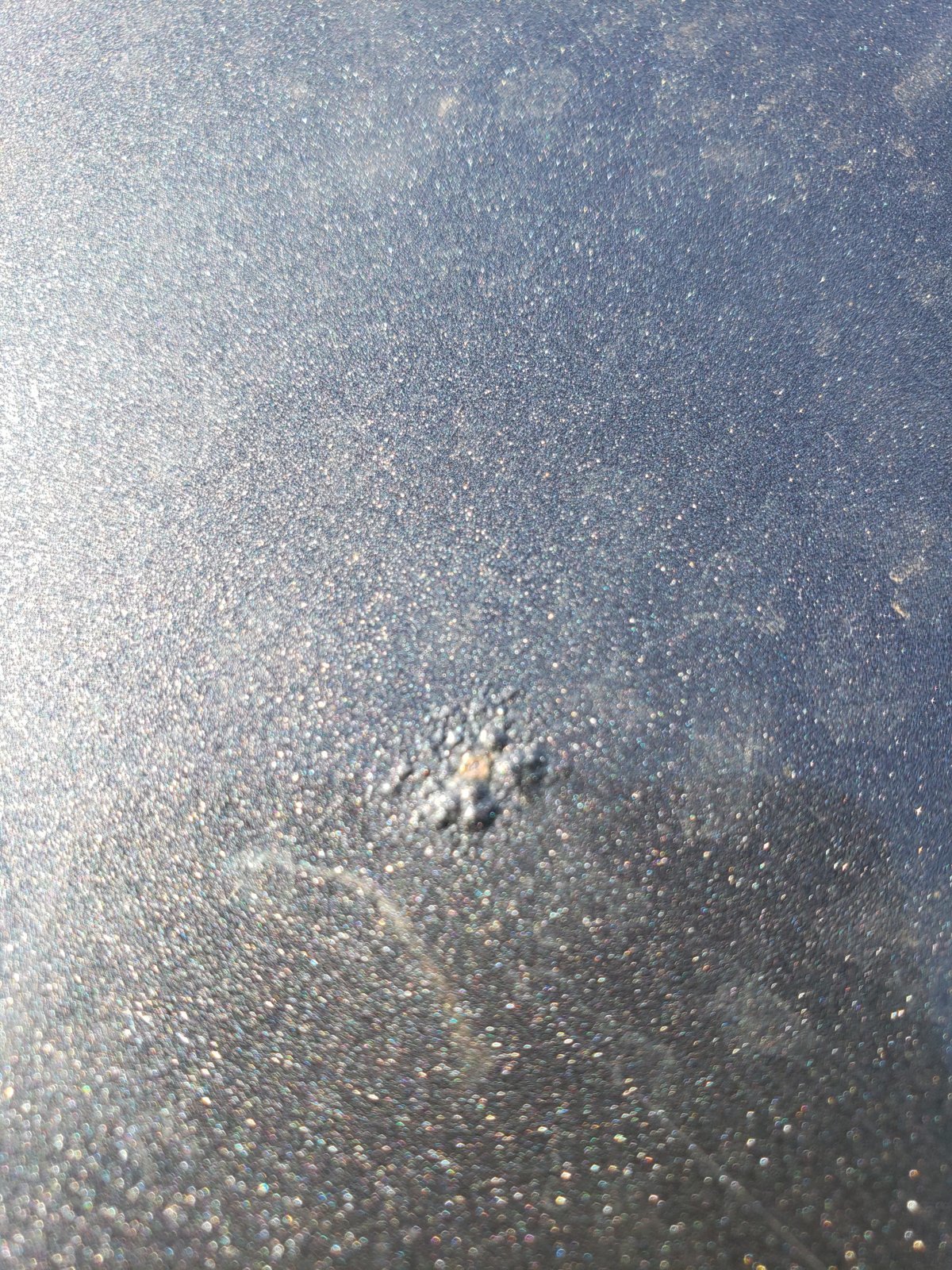 20240805_161933.jpg