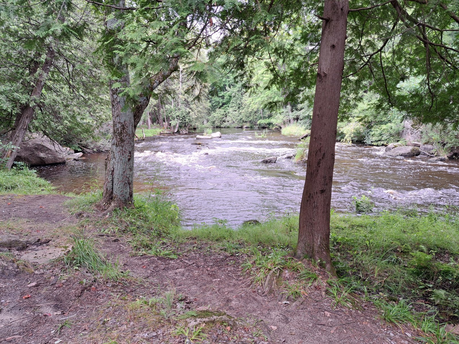 20240808_130436.jpg
