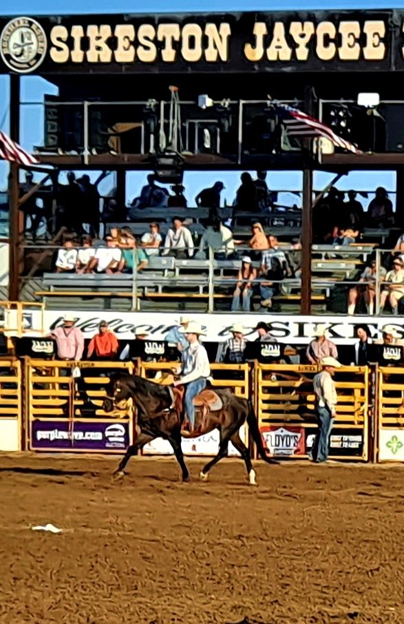 20240808_185631.jpg