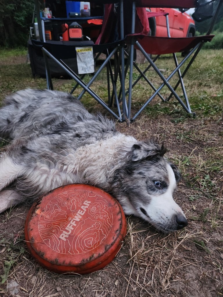 20240808_203118.jpg