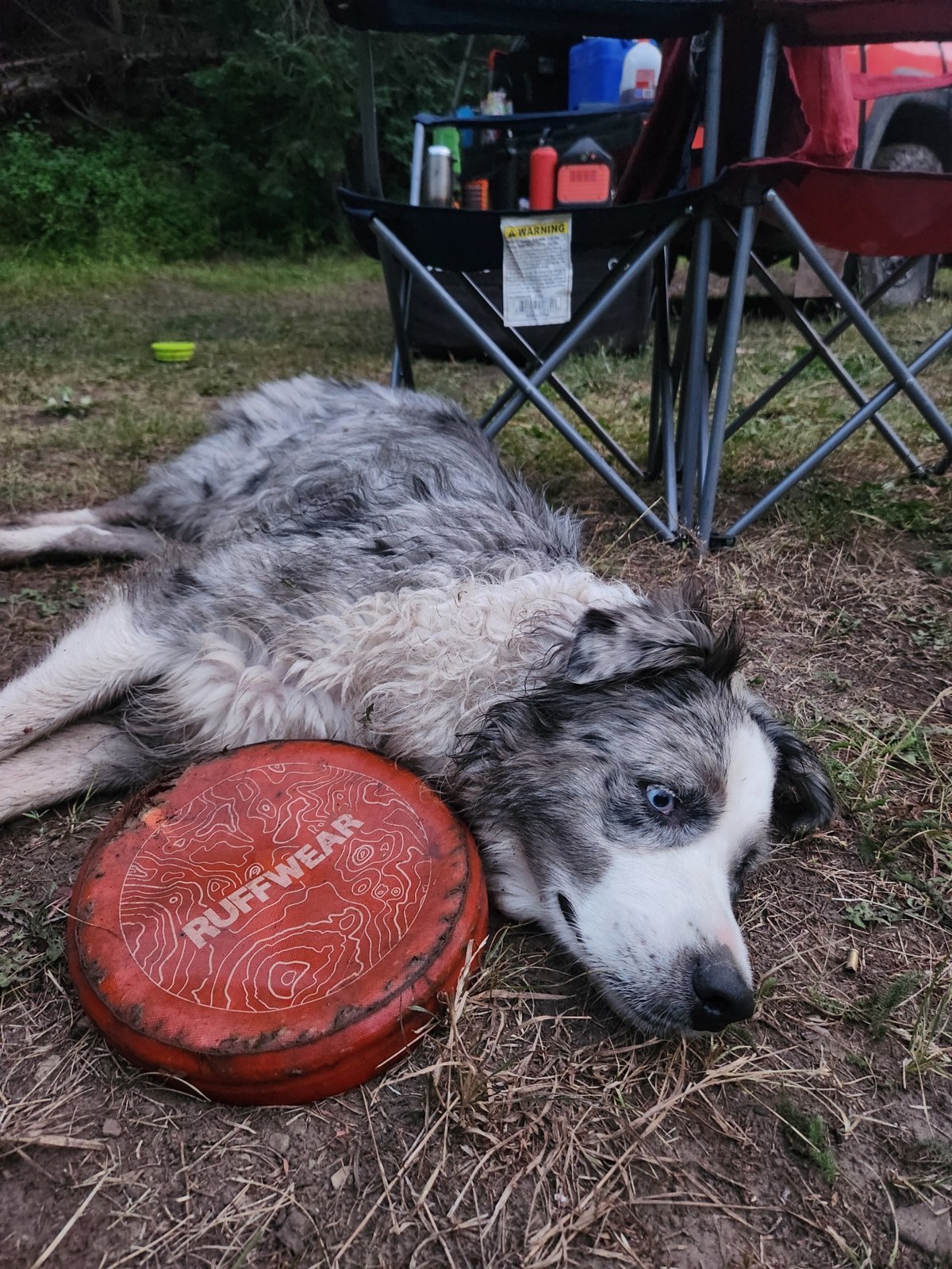 20240808_203125.jpg
