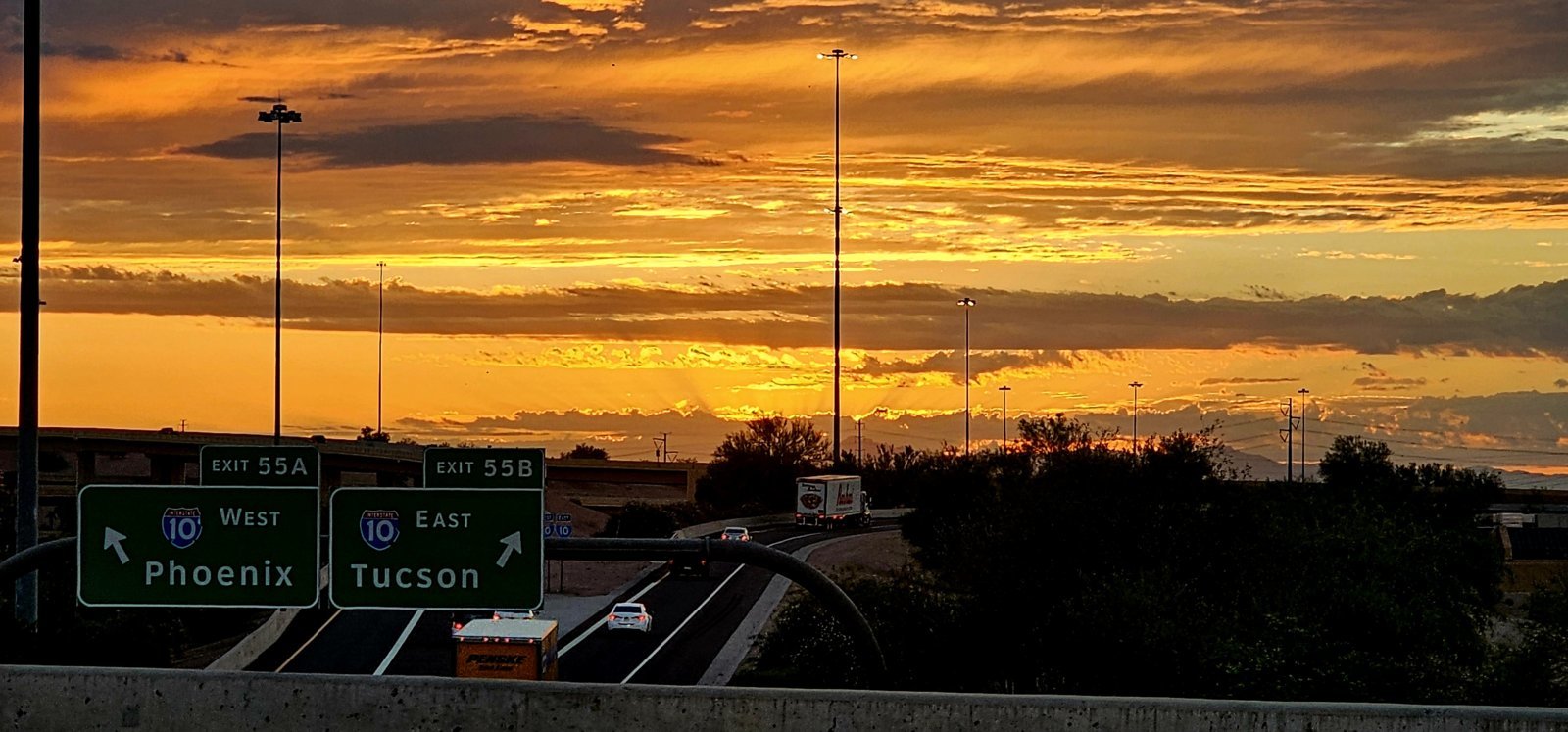 20240809_054952.jpg
