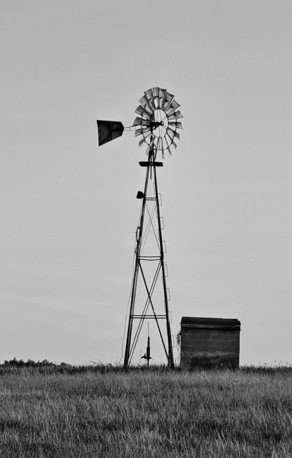 20240809_191659.jpg