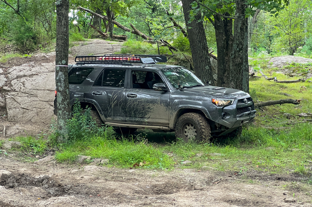 20240810-TWTigerton-04.jpg