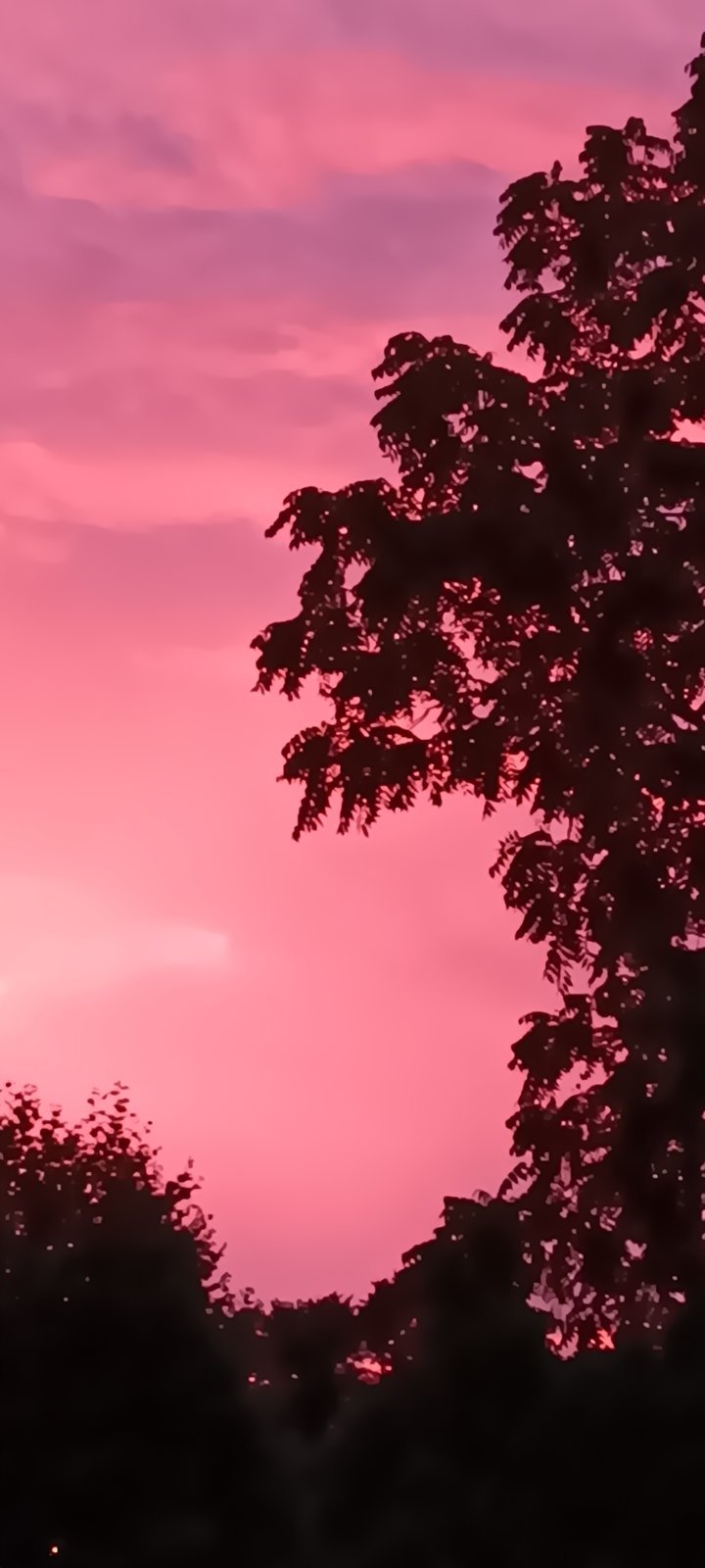 20240811_061856.jpg