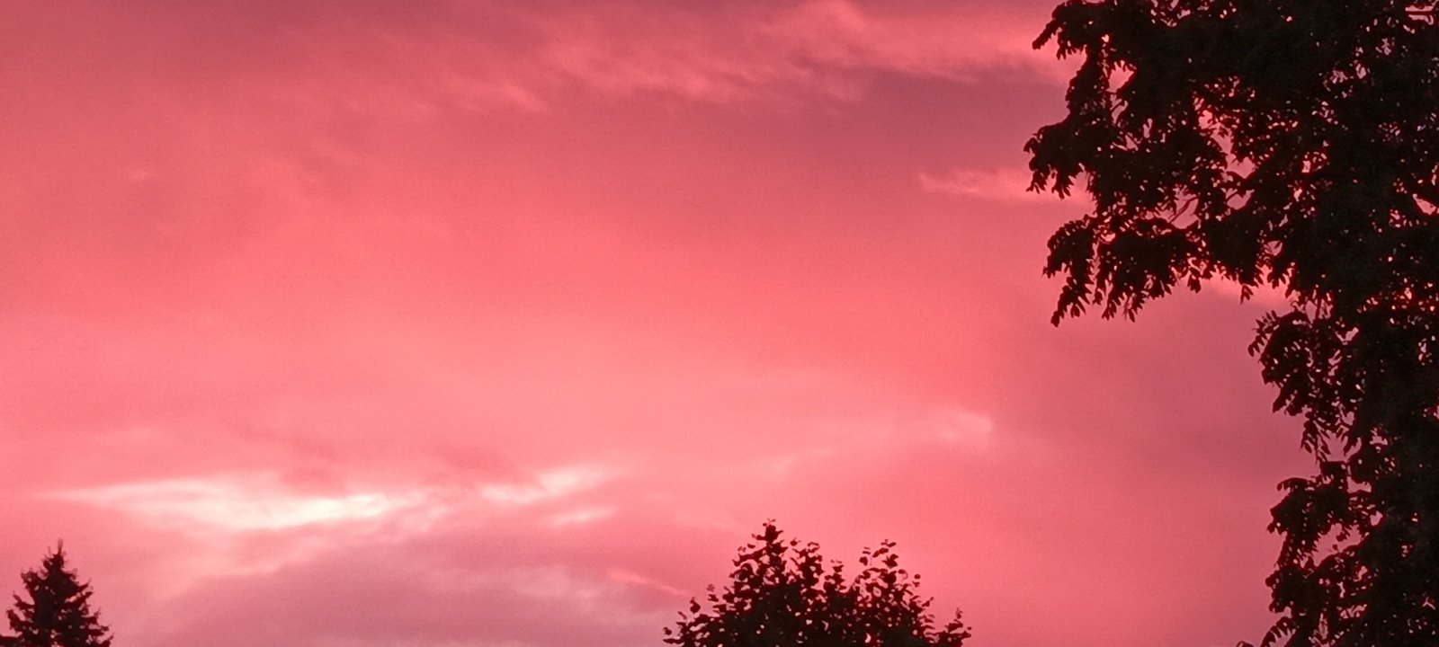 20240811_061910.jpg