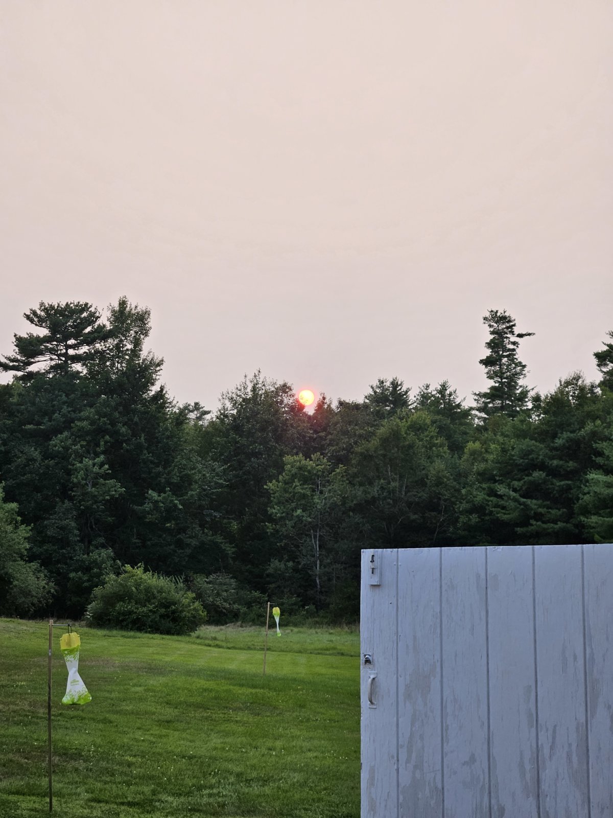 20240816_190152.jpg