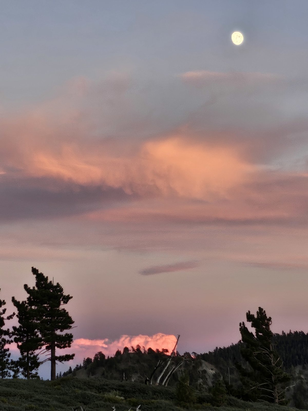 20240816_194213.jpg