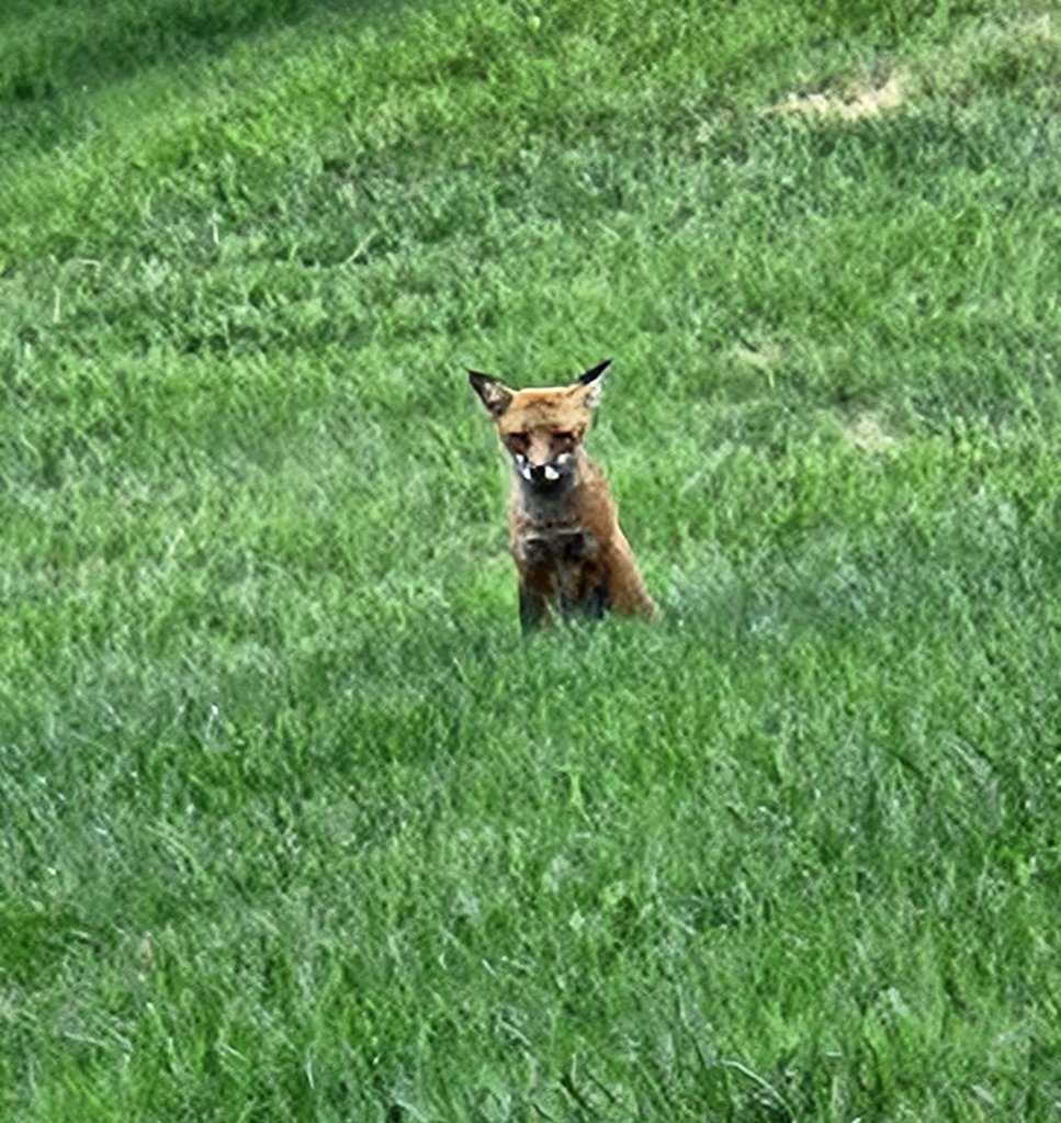 20240818_190903.jpg
