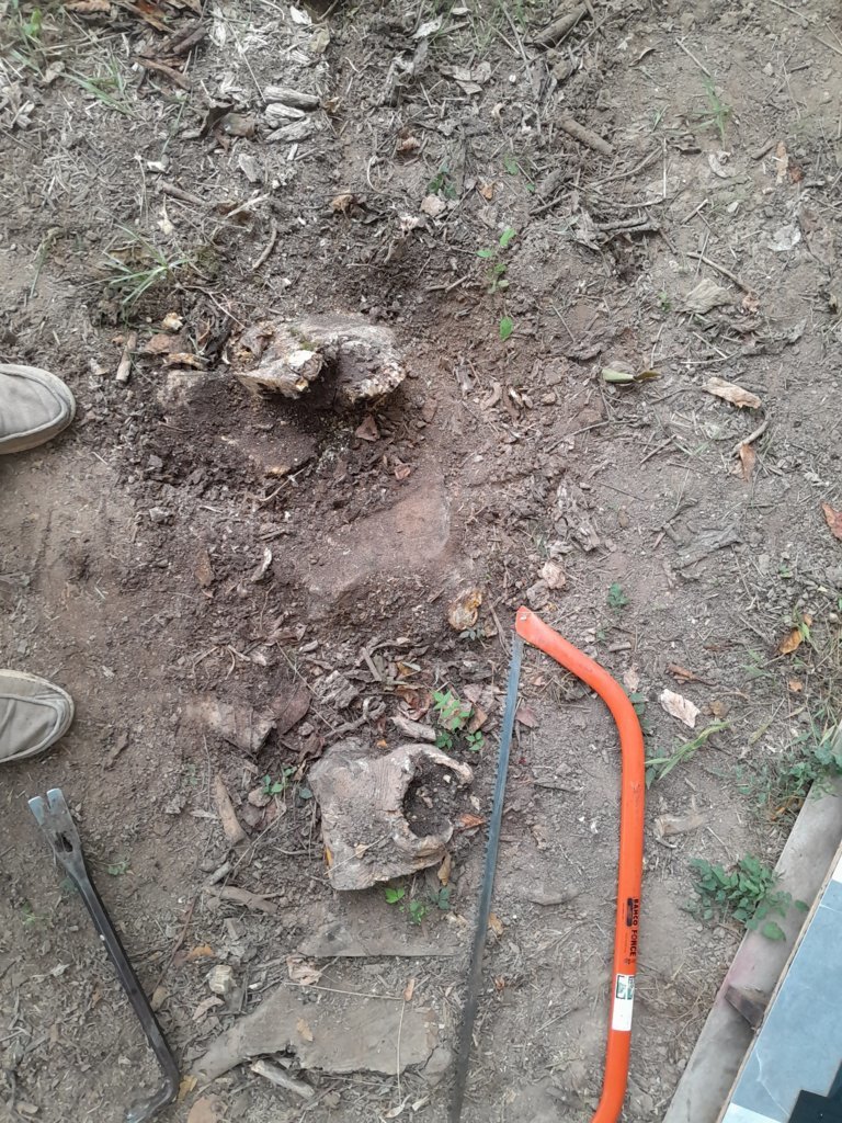 20240826_152811.jpg