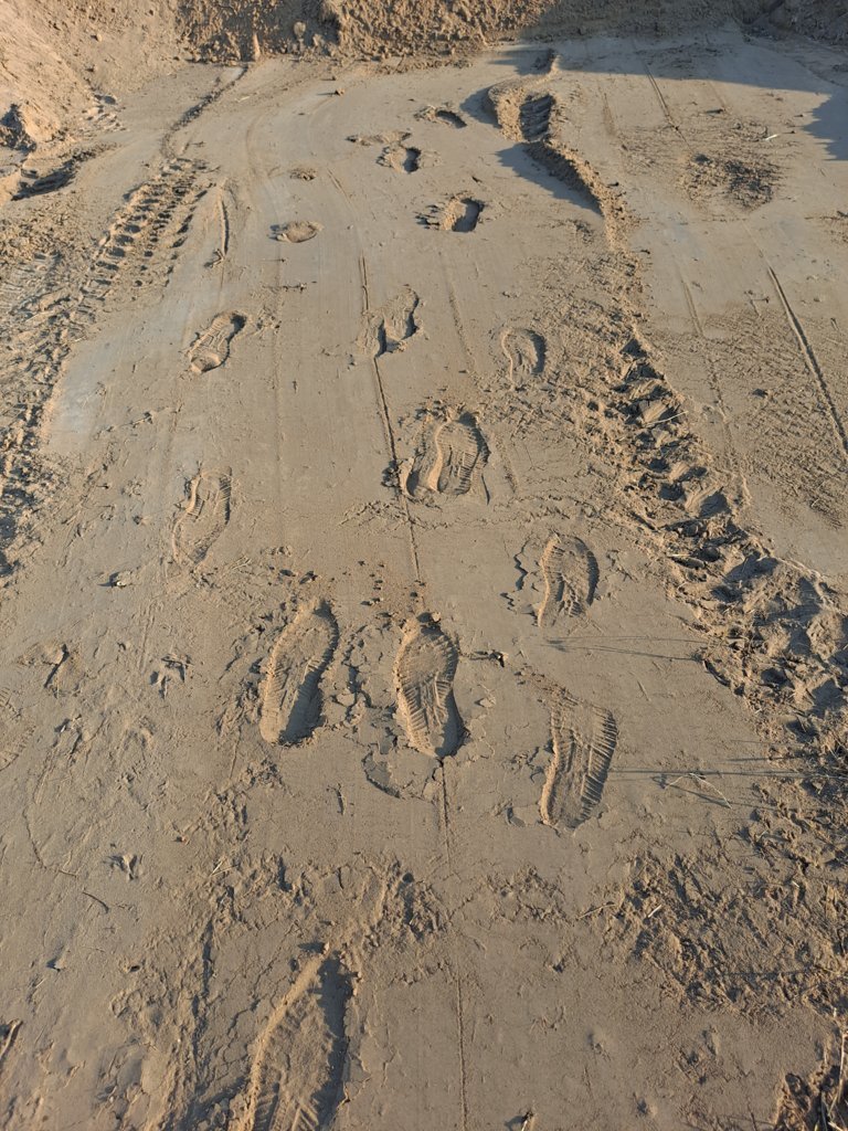 20240827_181224.jpg