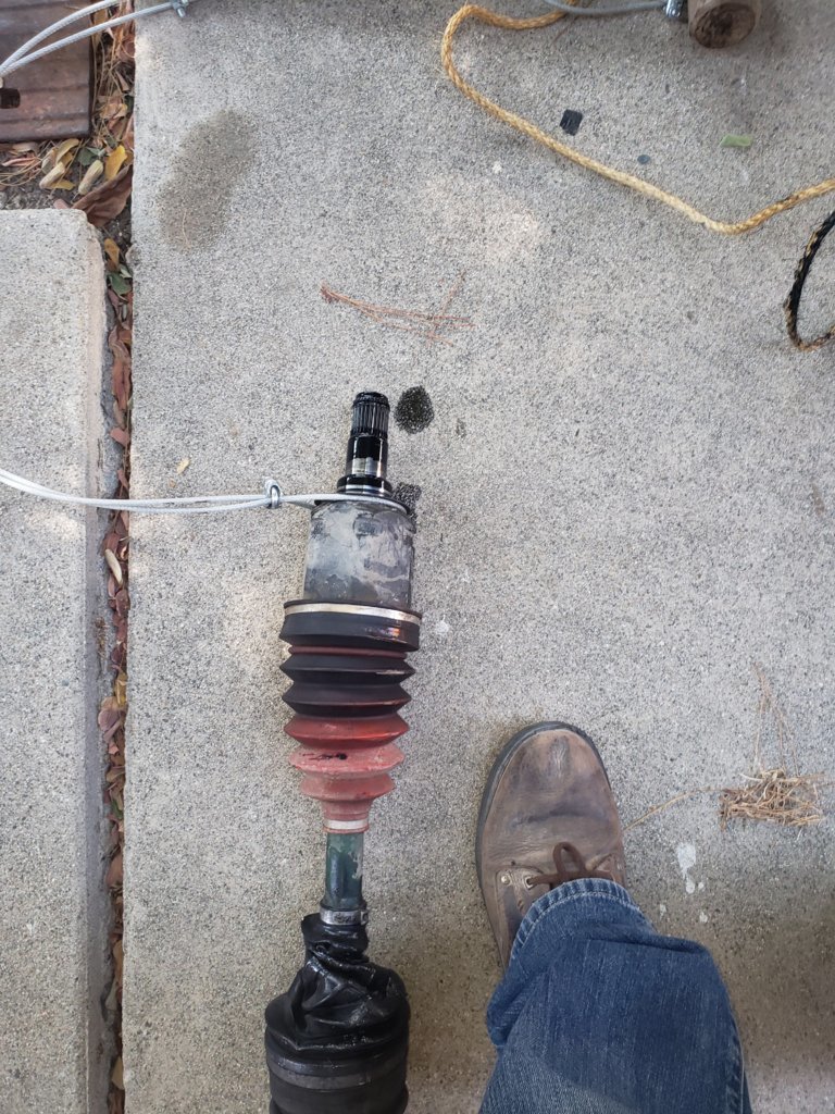 20240829_104317.jpg