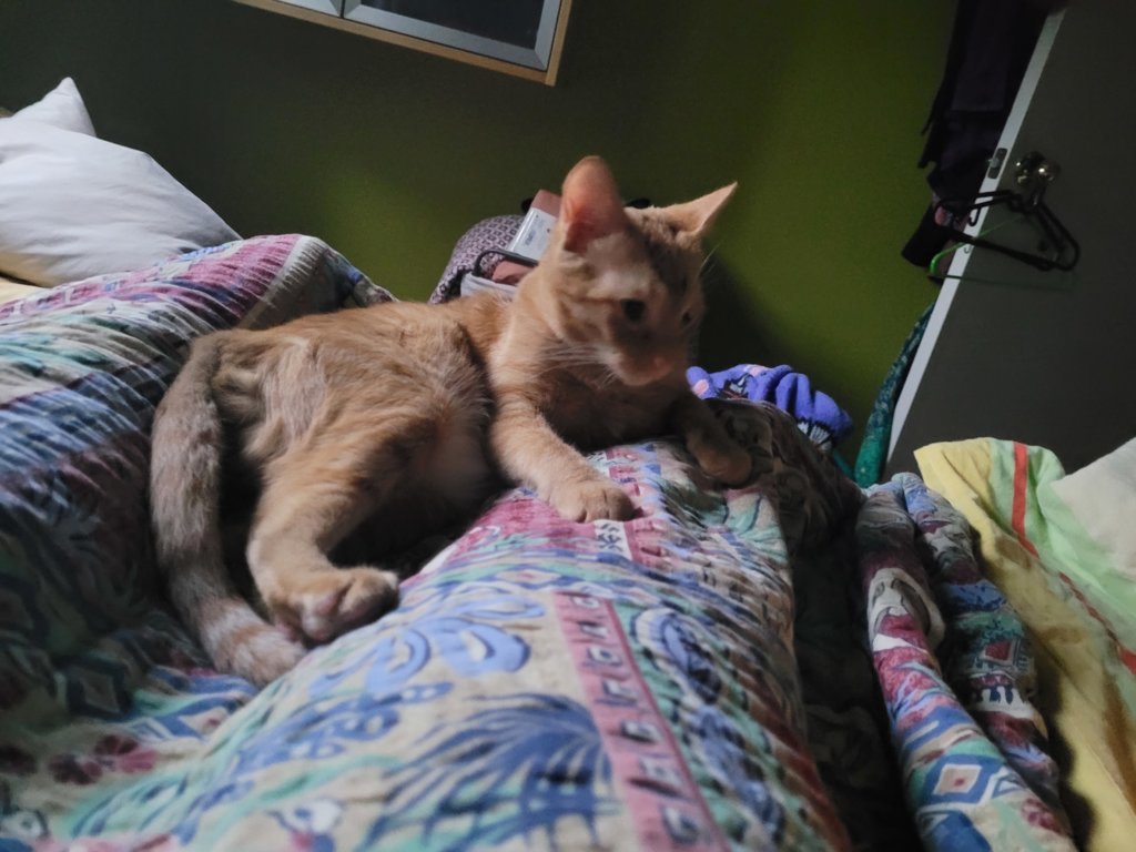 20240901_065843.jpg
