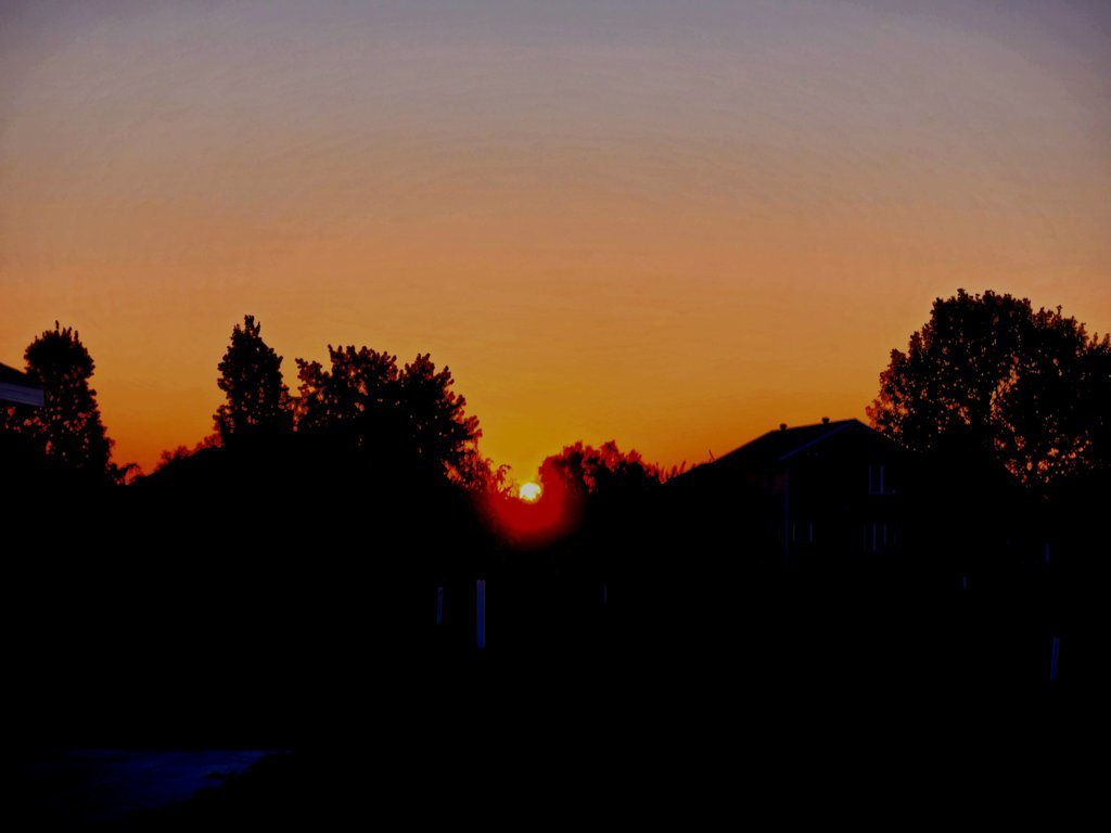 20240901_065908.jpg
