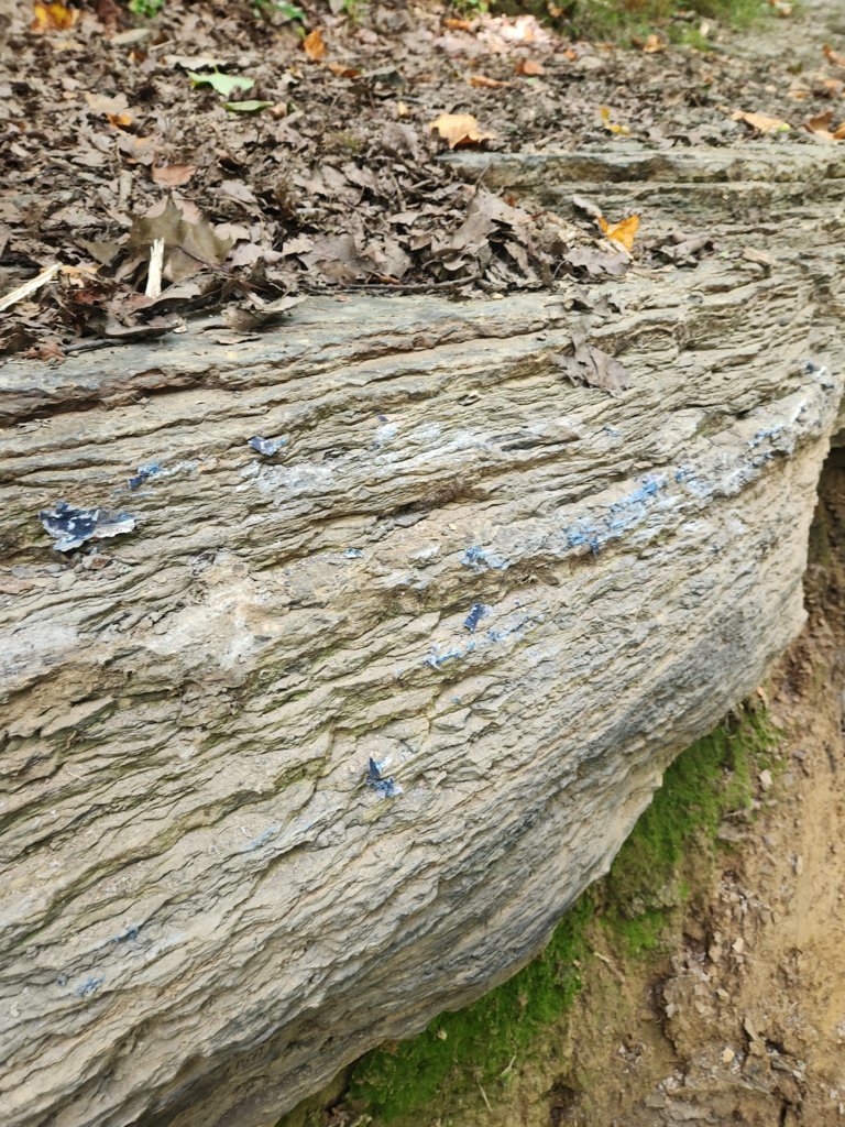 20240901_115944.jpg