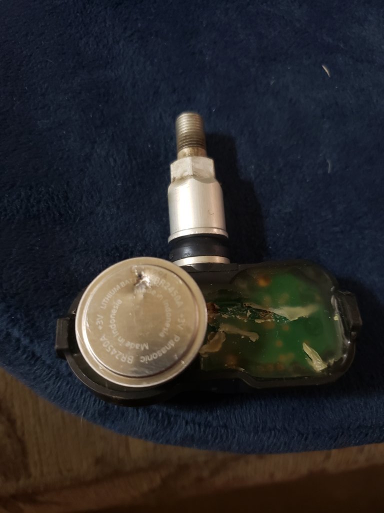 20240906_091641.jpg