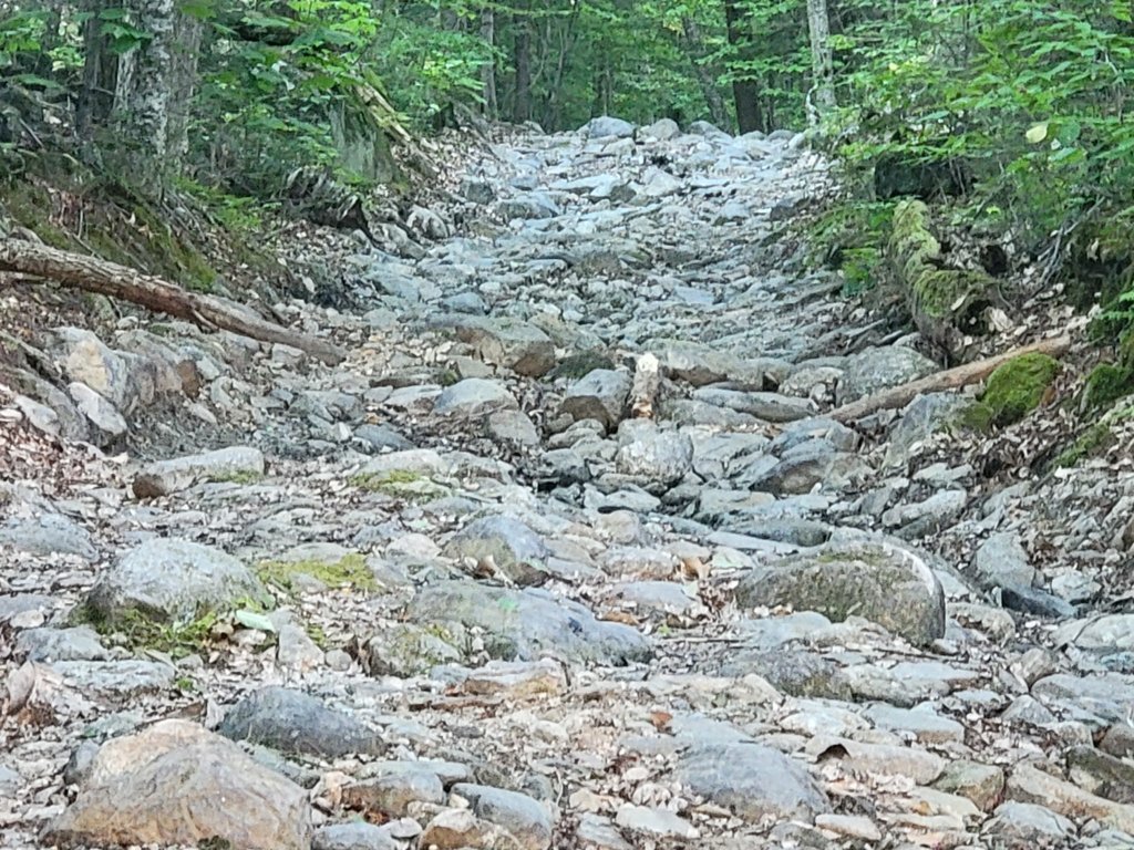 20240907_172805.jpg