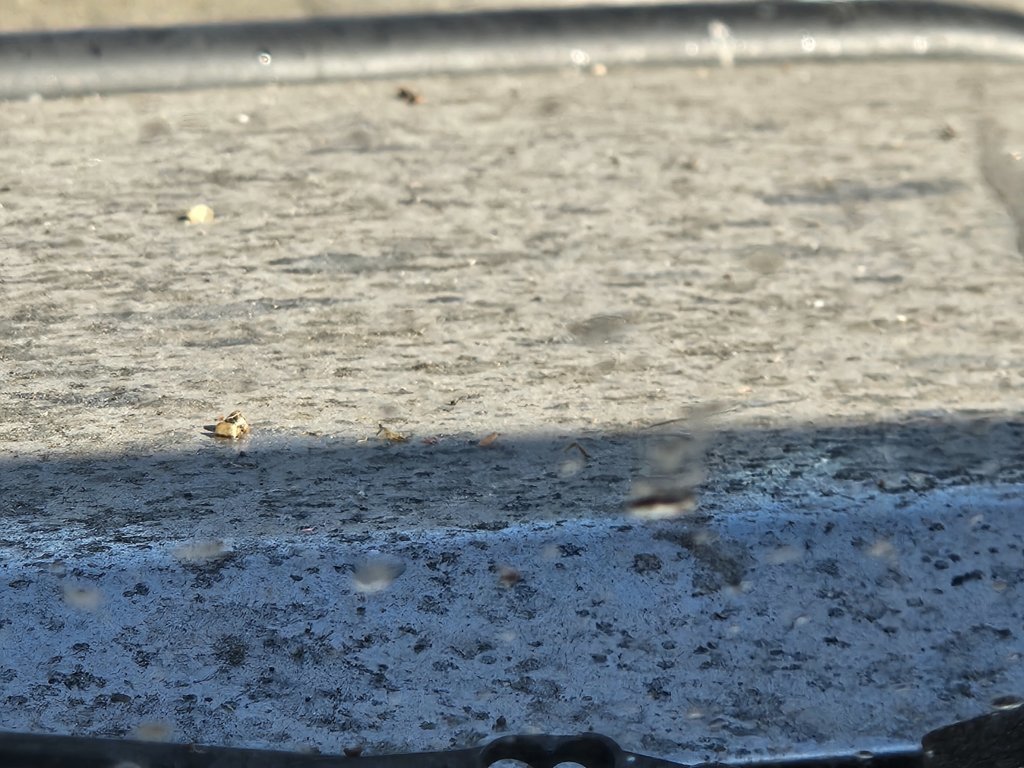 20240910_084603.jpg