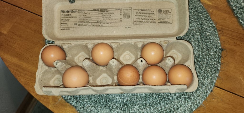 20240911_155756.jpg