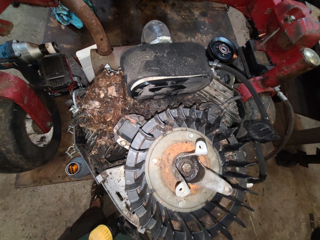 20240912_160215.jpg
