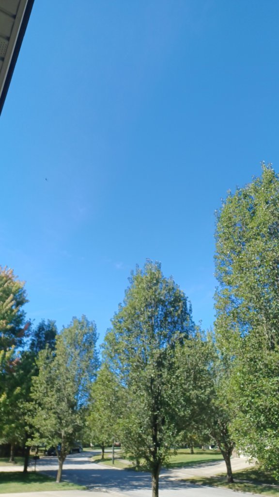 20240914_113626.jpg