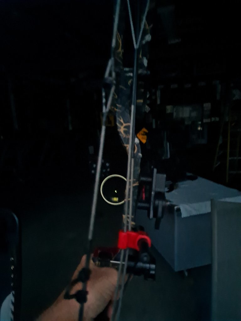 20240915_191411.jpg