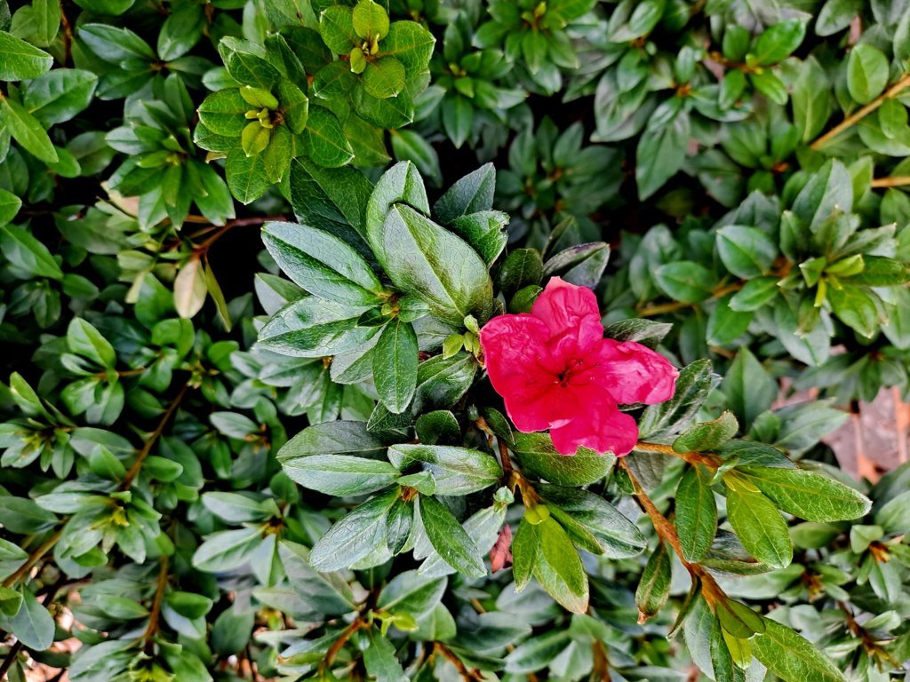 20240916_104431.jpg