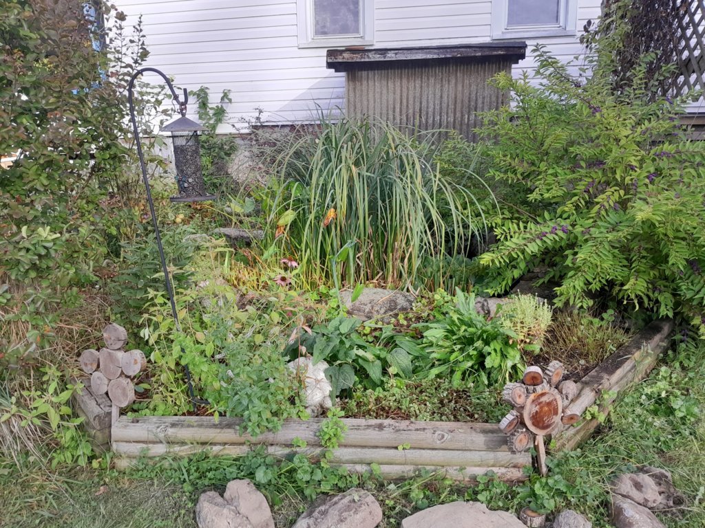 20240916_173610.jpg