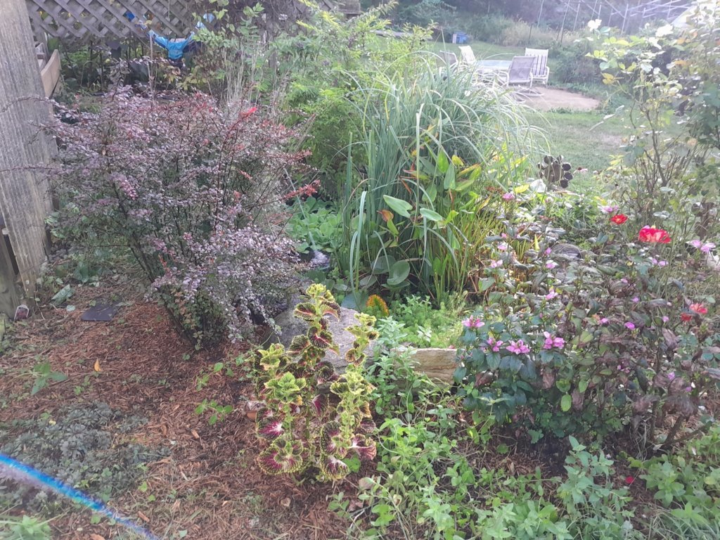 20240916_173709.jpg