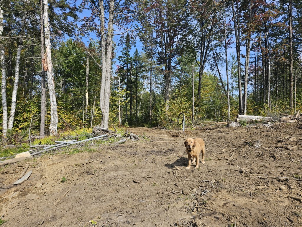 20240917_141814.jpg