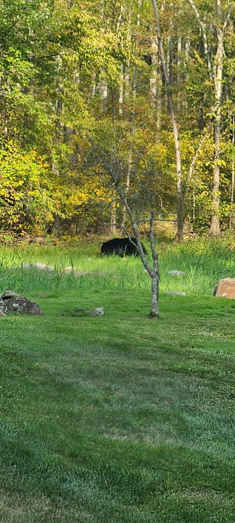 20240917_165731.jpg