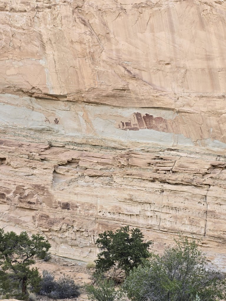 20240921_090816.jpg
