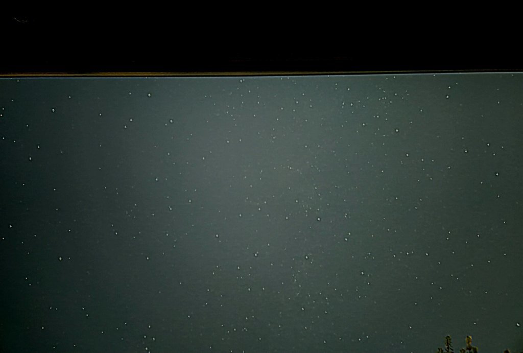 20240922_011610.jpg