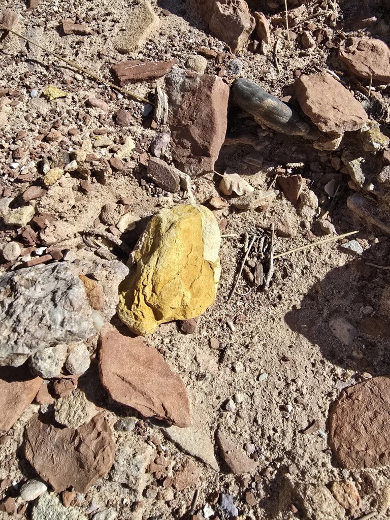 20240923_104448.jpg