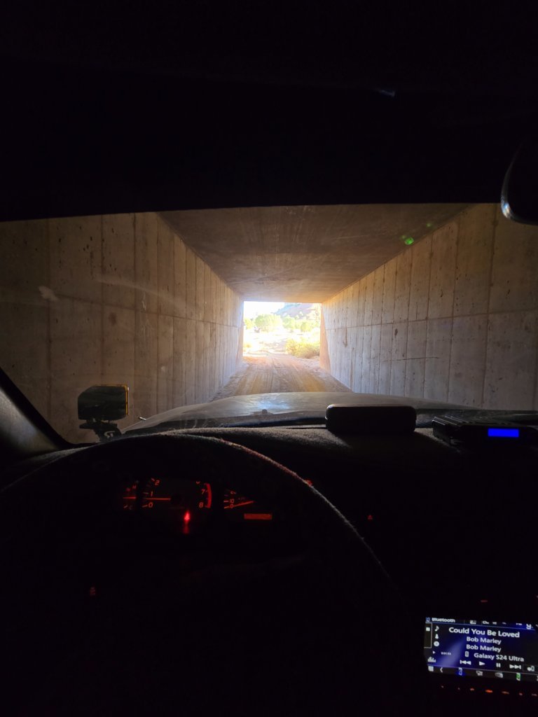 20240924_084326.jpg
