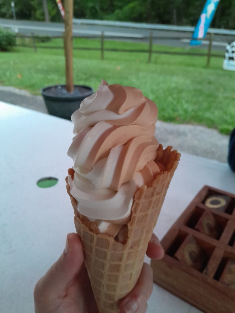 20240924_184050.jpg