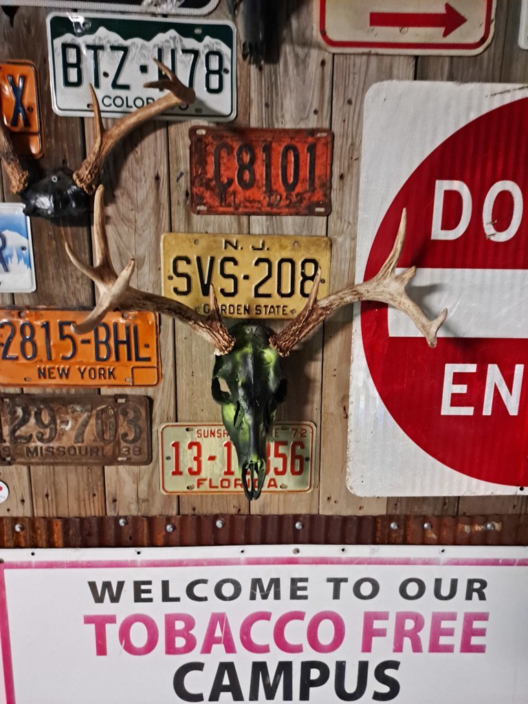 20240924_202341.jpg