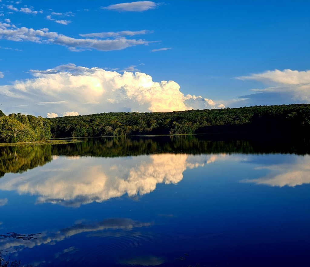 20240925_175201.jpg