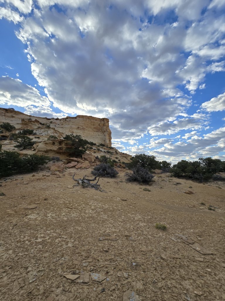 20240926_080910.jpg