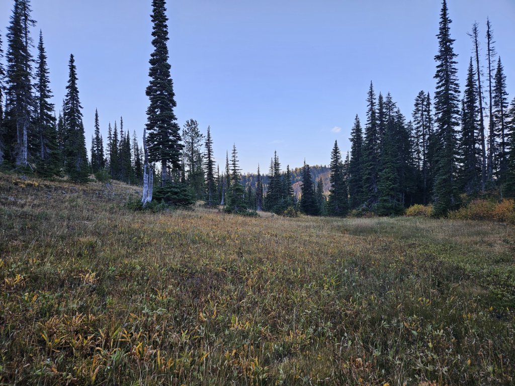 20240928_072544.jpg