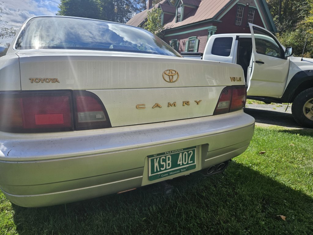 20240928_120444.jpg