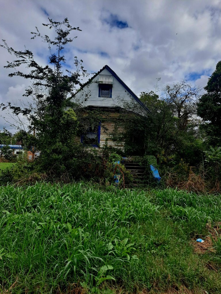 20240930_115559.jpg